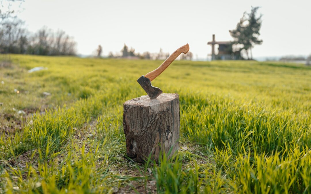 When Tree Stumps Become Safety Hazards