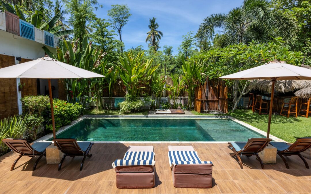 Trees Too Close To Your Swimming Pool